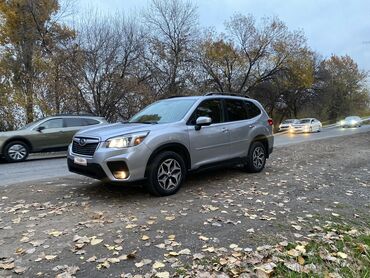 форесте: Subaru Outback: 2018 г., 2.5 л, Вариатор, Бензин, Кроссовер