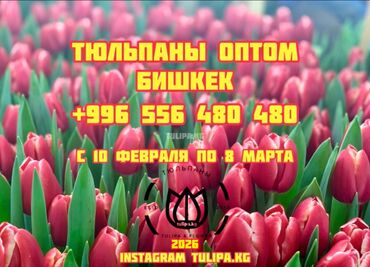 подарок девушке на день рождения бишкек: Иш-чараларды уюштуруу | Гүлдестелер, флористка