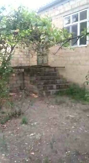 Həyət evləri və villaların satışı: 2 otaqlı, 120 kv. m, Kredit yoxdur, Orta təmir -da lalafo.az — 9 Həyət evləri və villaların satışı: 2 otaqlı, 120 kv. m, Kredit yoxdur, Orta təmir — 9