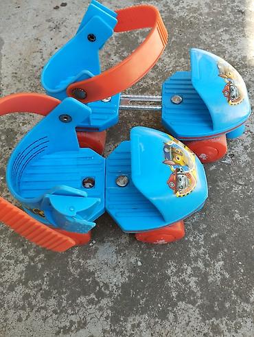 vitrina kora forma ideale: Dečiji roleri na 4 točka – Paw Patrol motiv - Model: podesivi roleri — 1