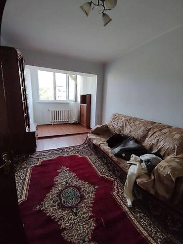 заур: 2 комнаты, 58 м², Филармония Индивидуалка, 5 этаж, Старый ремонт — 10