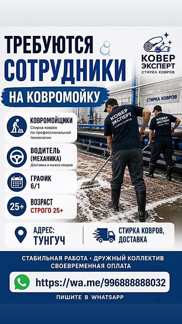 стирки: Вакансии: сотрудники на ковромойку «Ковер Эксперт» Ищем: - — 1