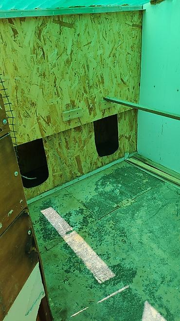 pet банки: Деревянный вольер, изготовленный из ориентированно-стружечных плит — 3