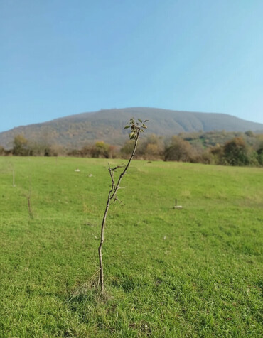 Torpaq sahələrinin satışı: 15 sot, Tikinti, Maklerlər narahat etməsin — 1