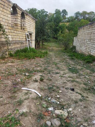 Torpaq sahələrinin satışı: 24 sot, Kənd təsərrüfatı, Kupça (Çıxarış) — 8