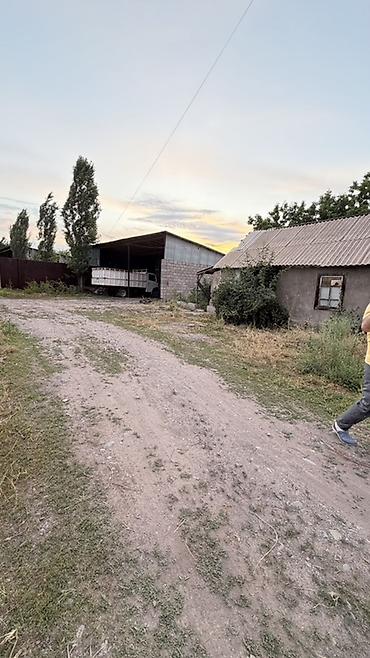 Продажа коттеджей и домов: Продаётся животноводческая ферма (сарай) в отличном месте! 📍 Удобное — 2