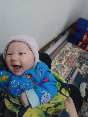 Кровля крыши: Кровля крыши — 20