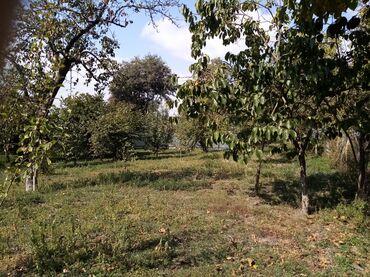 Torpaq sahələrinin satışı: Kənd təsərrüfatı — 10