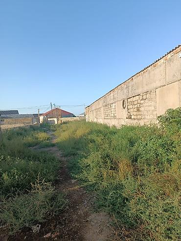 gen: Biznes üçün, Barter mümkündür, Kupça (Çıxarış) — 6