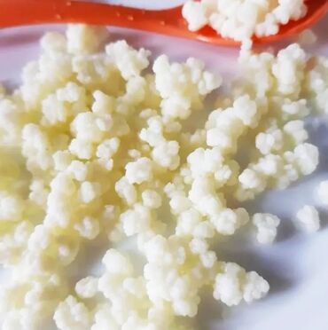 грузди грибы: Козу карындар