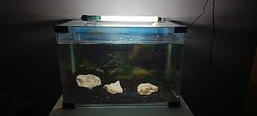 Dördbucaq akvarium, Boş, 33 l, Ünvandan götürmə