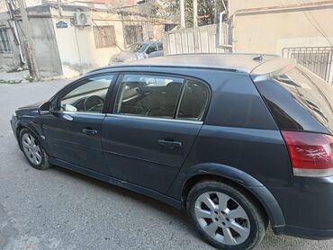 Opel: Opel Signum: 1.9 l | 2006 il 350000 km Hetçbek — 2