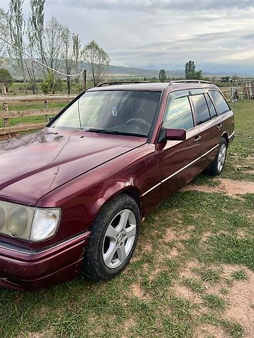 два авто: Mercedes-Benz 220: 2026 г., 2.9 л, Механика, Дизель, Универсал — 1