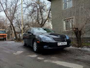 газдын майы: Toyota Windom: 2003 г., 3 л, Автомат, Газ, Седан