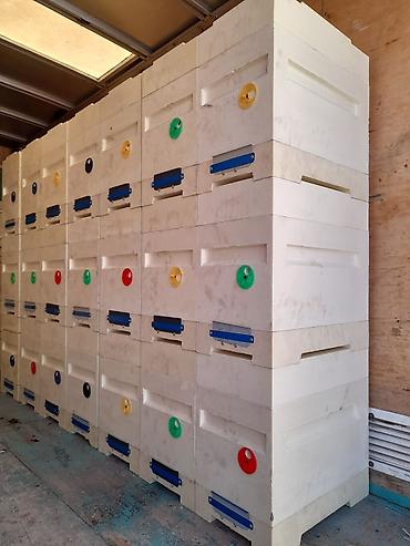 Товары и оборудование для с/х животных: Предлагаются ульи Дадан и 6-рамочники для пчеловодства. Ульи Дадан — 23