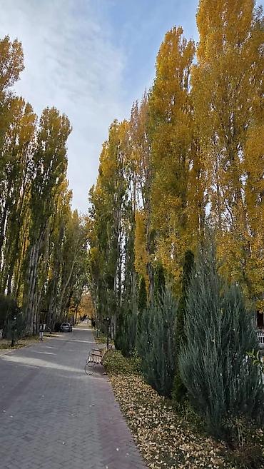 Иссык-Куль 2026: Коттедж, КОТТЕДЖ ЦО Радуга West, Кош-Кол, Детская площадка, Охраняемая территория, Бассейн — 19