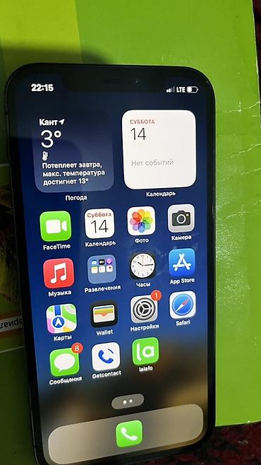 Apple iPhone: IPhone 12 Pro Max, Графит — 9