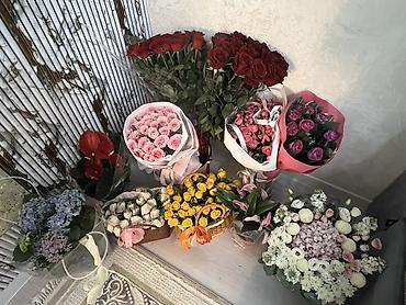поставщики цветов: Продаю цветы — 1