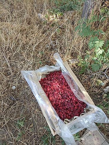 Продажа участков: 4500 соток — 2