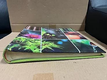 Slike i ramovi: Zidna slika – kolaž „Zen/Buddha“ - Motiv: devet panela sa zen — 2