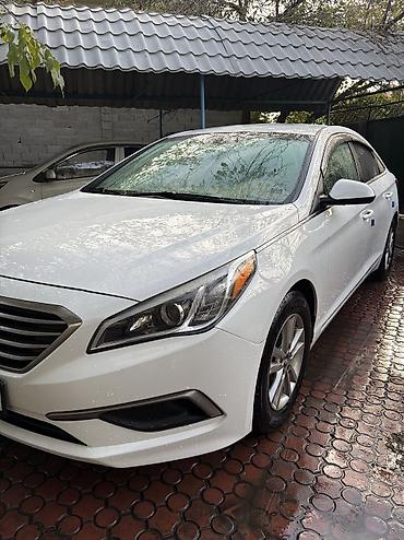 byd leopard 5: Hyundai Sonata: 2017 г., 2.4 л, Автомат, Бензин, Седан — 4