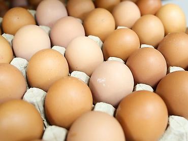 Сүт азыктары: Продаются свежие домашние яйца. Не фабричные — 2