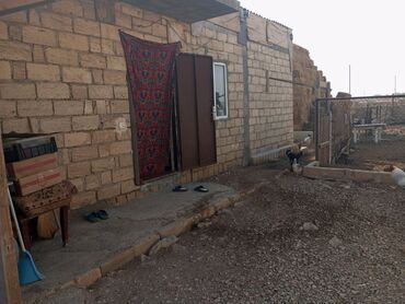 Digər kənd təsərrüfatı heyvanları: Ferma xızı rayonu yeni yaşmaq kəndindədi 70 baş mal sağlamaq üçün — 10