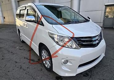 Защита радиатора: Комплект элементов кузова и оптики для Toyota Estima E55 (указания — 5