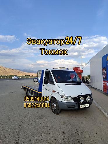 247: С лебедкой, С частичной погрузкой, С манипулятором — 1