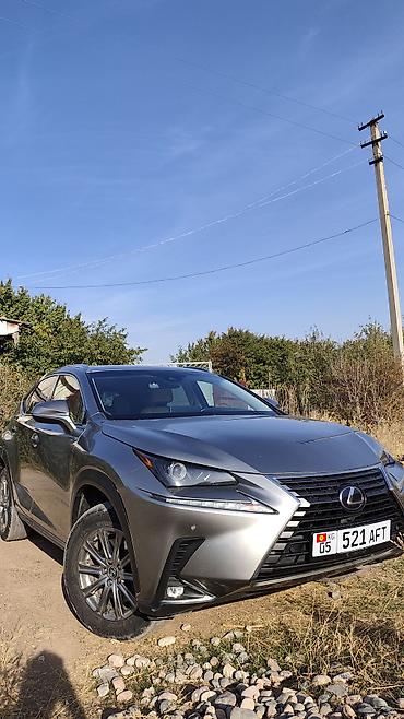 полировочные круги: Lexus NX: 2019 г., 2.5 л, Автомат, Гибрид, Кроссовер — 4