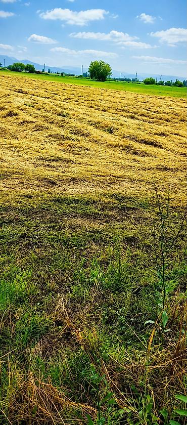kənd: Kənd təsərrüfatı — 3