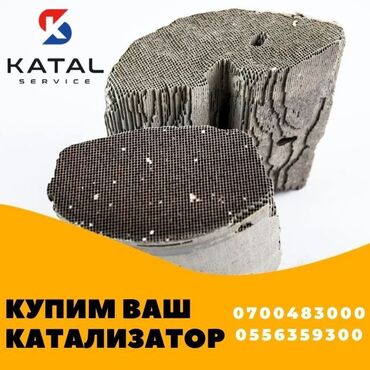 Скупка катализаторов: Автомобильный катализатор, предназначенный для снижения выбросов