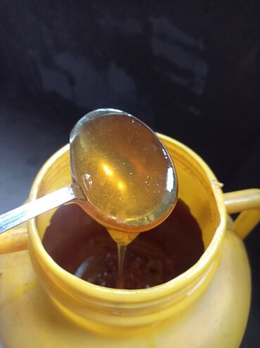 мёд продаю: Продается Мёд чистые качество Мёд с собственной пасеки!!! 350с за кг