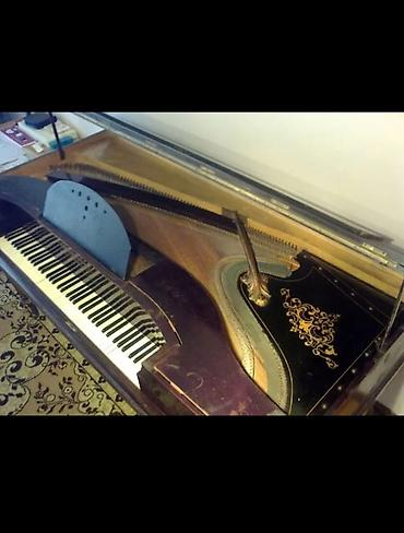 fort salon: Antik kuyruklu piano – Wills. Pethmüller & Sohn, Göttingen - — 2