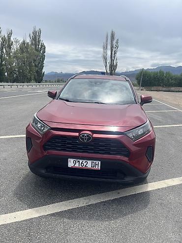 крыло рав 4: Toyota RAV4: 2020 г., 2.5 л, Автомат, Бензин, Внедорожник — 6