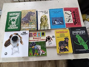 Другие книги и журналы: Подборка книг и материалов разной тематики.Книги по школьной — 19