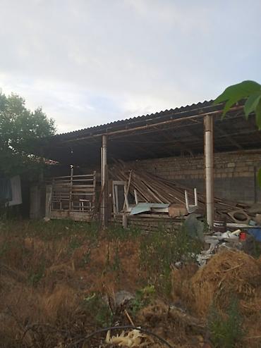 Продажа коттеджей и домов: Продаю дом с участком, в центре Беловодска,, дом 9 м / 16 м навес — 8