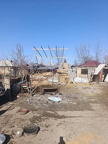 бир: 📌В селе Беловодское продается дом из 5-ти комнат на участке 8 соток — 2