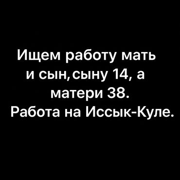 идиш жуу: Предлагаем услуги матери и сына для работы в районе Иссык-Куля. Мать –