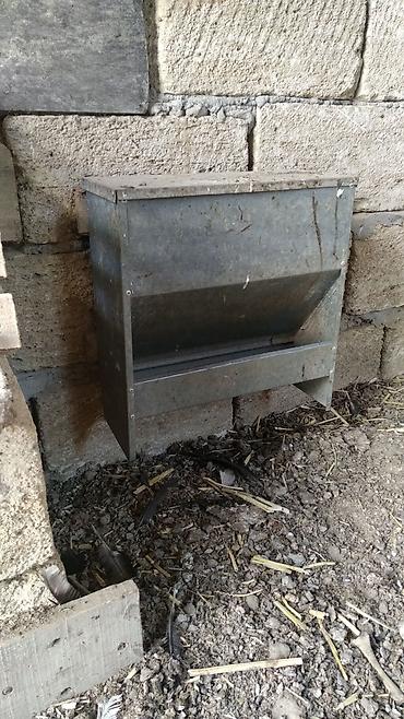 akvarium baliq bazari: Müxtəlif heyvanların Bunker yem qabları. Bildirçini, Toyuq, Kəklik — 5