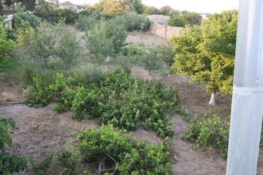 Torpaq sahələrinin satışı: 3 sot, Tikinti, Mülkiyyətçi, Kupça (Çıxarış) — 8