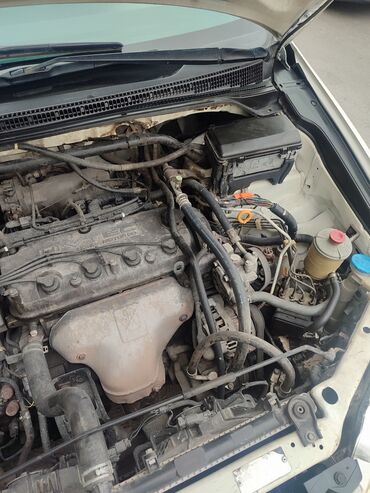машына нексия: Honda Odyssey: 2003 г., 2.3 л, Автомат, Бензин, Минивэн