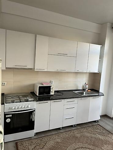 пасутычный квартира: 1 комната, Без животных, С мебелью полностью — 3