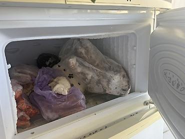 морозильный шкаф: Холодильник с морозильной камерой - Отдельная верхняя морозильная — 3