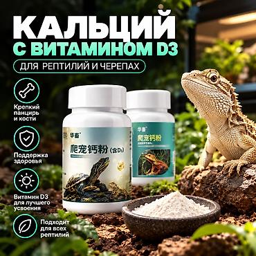 морской аквариум: 🐢 ТЕРРАРИУМ ДЛЯ ЧЕРЕПАХИ С ПОДОГРЕВОМ И ТЕРМОРЕГУЛЯТОРОМ Создайте — 3