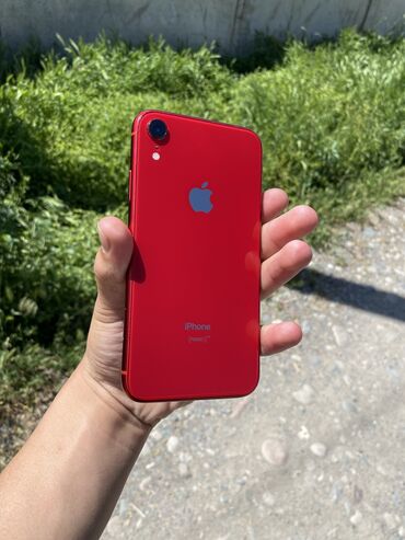 iphone xr телефон: IPhone Xr, Колдонулган, 64 ГБ, Кызыл, Заряддоочу түзүлүш, 79 %