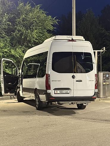Mercedes‑Benz Sprinter 319 CDI — пассажирский минибас в премиальной
