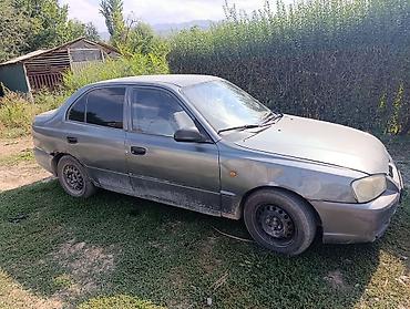 аваринные машины: Hyundai Accent: 2003 г., 1.5 л, Механика, Бензин, Седан — 2