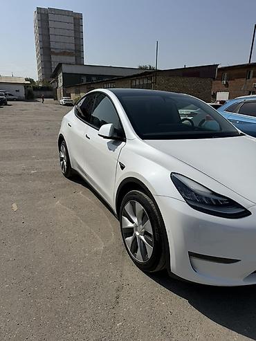 Tesla: Tesla Model Y: 2021 г., Электромобиль, Кроссовер — 2