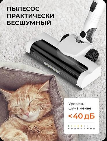 qaz pilite: Premium Alman Texnologiyası! Späwnsön Simsiz Şaquli Tozsoran (Quru və — 2